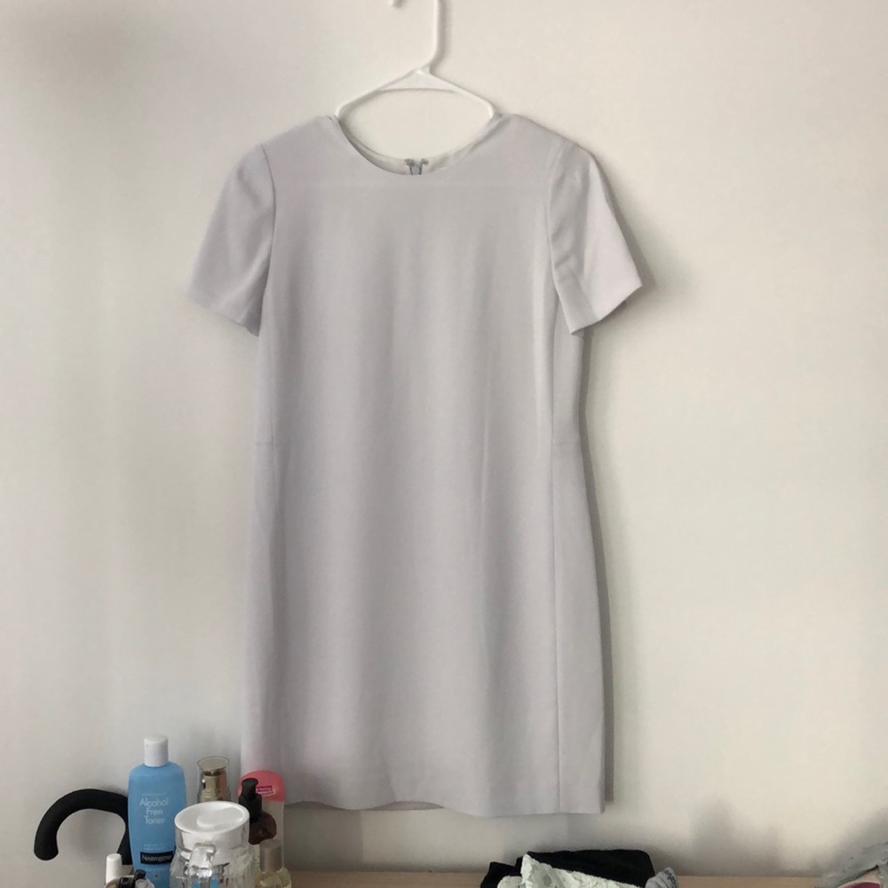 Aritzia babaton size 2 Patricio dress